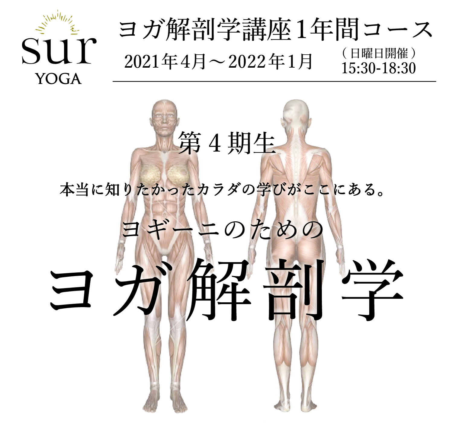 ヨーガのための解剖学 anatomy for yoga - ヨガ